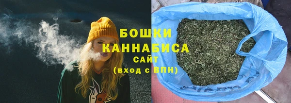 PSILOCYBIN Бородино